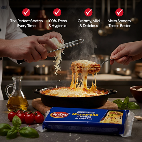 Moloko Mozzarella Cheese 2Kg