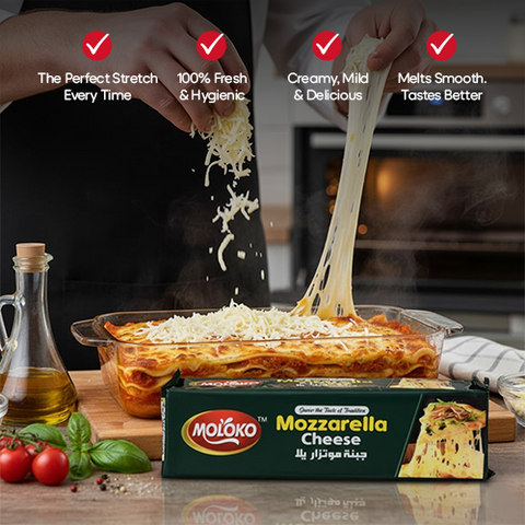 Moloko Mozzarella Cheese 2Kg